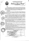 Vista preliminar de documento N°294-2020.pdf