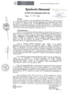 Vista preliminar de documento Resolución Directoral N°376-2021-MIDAGRI-PEBLT-DE.pdf