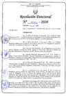 Vista preliminar de documento RD N°0391-2020.pdf
