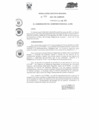 Vista preliminar de documento RESOLUCION EJECUTIVA REGIONAL 41.PDF