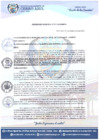 Vista preliminar de documento ORDENANZA-MUNICIPAL-N-011-2020-MDCA.pdf