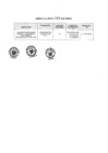 Vista preliminar de documento Anexo