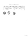 Vista preliminar de documento Anexo