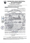 Vista preliminar de documento RA-0426-2021-MDS.pdf