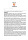 Vista preliminar de documento phpRaIINM