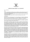 Vista preliminar de documento acu0556_2009