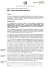Vista preliminar de documento RDE-000175-2021-DE