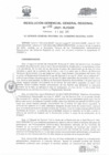 Vista preliminar de documento RESOLUCION GERENCIAL GENERAL REGIONAL 006.PDF