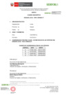 Vista preliminar de documento b.Cuadro_descriptivo-BL_SAN_LORENZO_IIFF_ANEXO_II