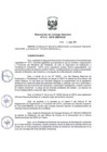 Vista preliminar de documento 2015
