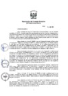 Vista preliminar de documento 2015