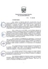 Vista preliminar de documento 2015