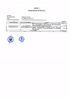 Vista preliminar de documento Anexo1
