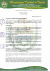 Vista preliminar de documento ORDENANZA-N°015-2019-CM-MDV.pdf