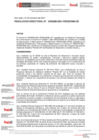 Vista preliminar de documento Resolución Directoral