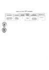 Vista preliminar de documento Anexo