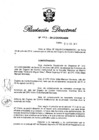 Vista preliminar de documento RD N° 223-2012.pdf