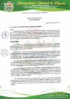 Vista preliminar de documento Comite de Vigilancia Presupuesto Participativo 2020.pdf