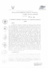 Vista preliminar de documento RESOLUCION GERENCIAL GENERAL REGIONAL 131.PDF