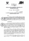 Vista preliminar de documento RESOLUCIÓN GERENCIAL REGIONAL DE INFRAESTRUCTURA 250.PDF