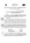 Vista preliminar de documento RESOLUCIÓN GERENCIAL REGIONAL DE INFRAESTRUCTURA 210.PDF