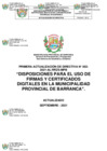 Vista preliminar de documento Directiva