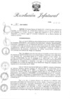 Vista preliminar de documento RJ Nº 261-2021-INDECI1.pdf