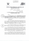 Vista preliminar de documento RESOLUCIÓN GERENCIAL REGIONAL DE INFRAESTRUCTURA  84.PDF