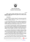Vista preliminar de documento Norma