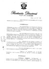 Vista preliminar de documento RD N° 272-2012.pdf