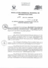 Vista preliminar de documento RESOLUCIÓN GERENCIAL REGIONAL DE INFRAESTRUCTURA 81.PDF
