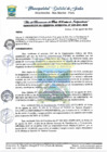 Vista preliminar de documento G MUNICIPAL N 309.pdf