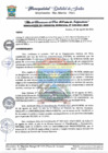 Vista preliminar de documento G MUNICIPAL N 310.pdf