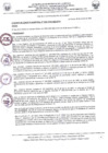 Vista preliminar de documento ACUERDODECONCEJO-38-2020.pdf