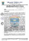 Vista preliminar de documento G MUNICIPAL N 313.pdf