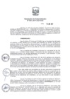 Vista preliminar de documento 2017