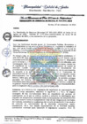 Vista preliminar de documento G MUNICIPAL N 325.pdf
