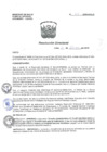 Vista preliminar de documento R.D. Nº 212-2019-HNAL/D