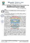 Vista preliminar de documento G MUNICIPAL N 336.pdf