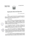 Vista preliminar de documento R.D.E. Nº 157-2019-HNAL/OEA
