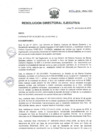 Vista preliminar de documento R.D.E. Nº 156-2019-HNAL/OEA