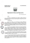 Vista preliminar de documento R.D.E. Nº 174-2019-HNAL/OEA