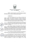 Vista preliminar de documento 2017