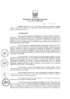 Vista preliminar de documento 2017