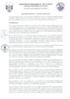 Vista preliminar de documento Ordenanza Regional
