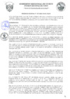 Vista preliminar de documento Ordenanza Regional
