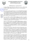 Vista preliminar de documento Ordenanza Regional