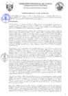 Vista preliminar de documento Ordenanza Regional