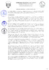 Vista preliminar de documento Ordenanza Regional