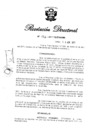 Vista preliminar de documento RD N° 132-2011.pdf